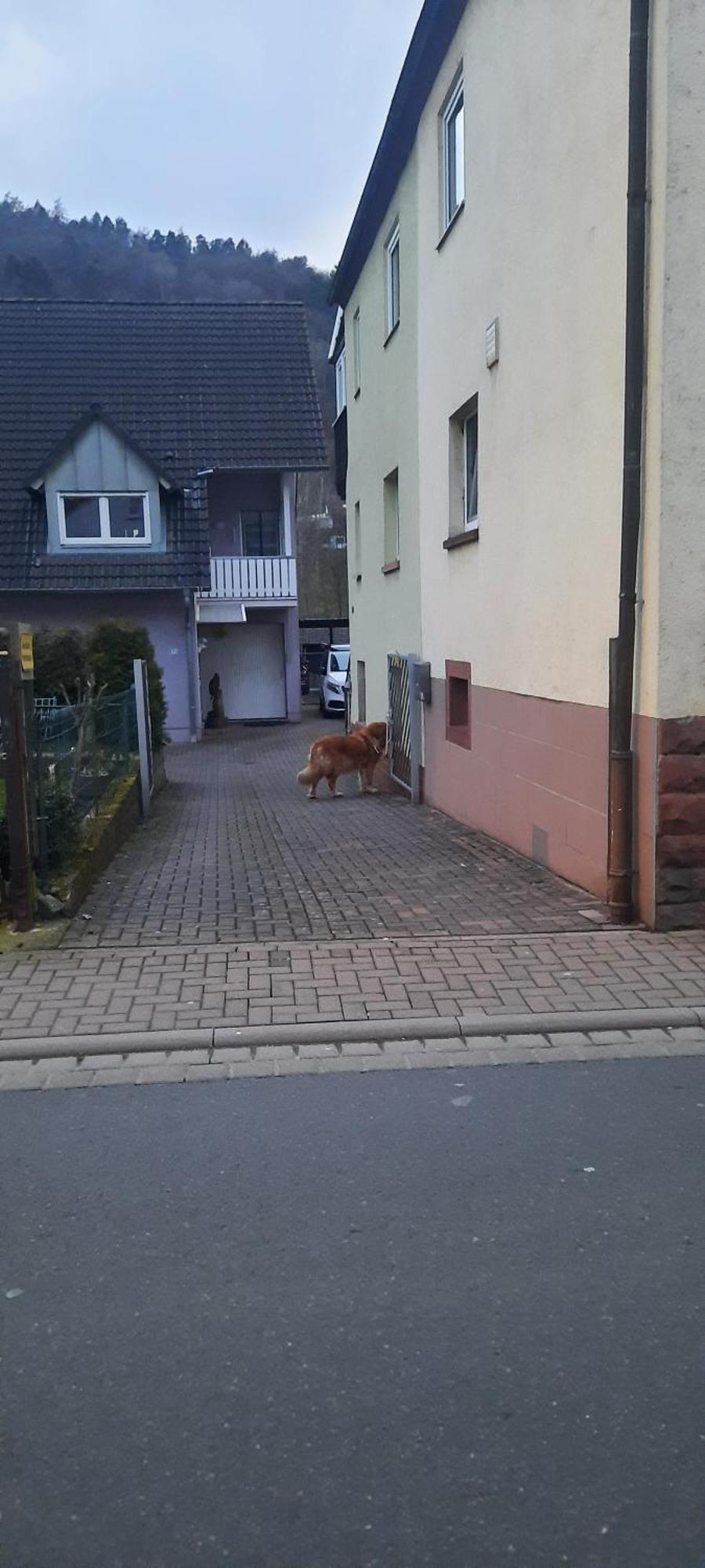 Main Zu Hause Villa Eichenbuhl  Luaran gambar